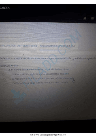 EXAMENES-ANATOMIA-PATOLOGICA-7.pdf