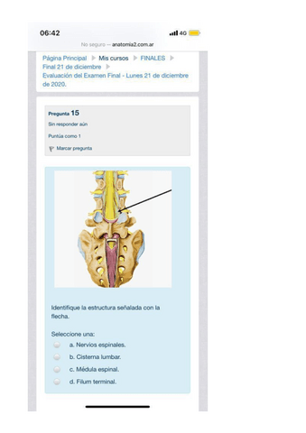 CHOICES-ANATO-PATO-9.pdf