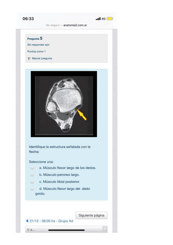 CHOICES-ANATO-PATO-10.pdf
