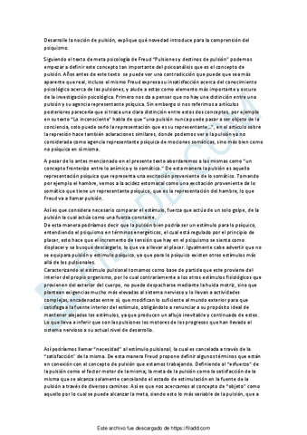 Desarrolle-la-nocion-de-pulsion.pdf