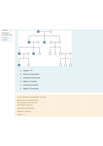 Autoev-Arboles-genealogicos.pdf