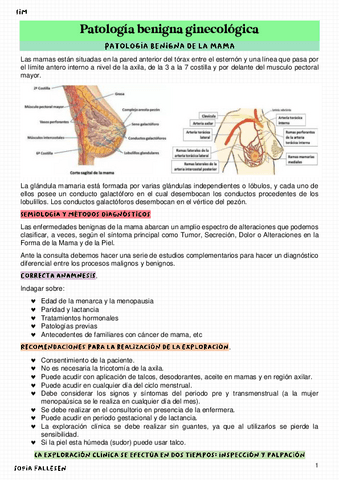 N14-Patologia-benigna-ginecologica.pdf