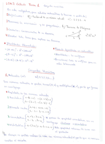 MACRO RESUMEN CALCULITO.pdf