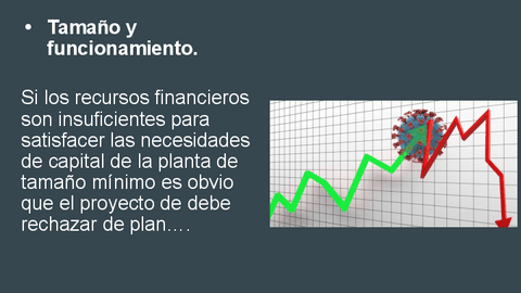 36Tamano-y-funcionamiento.-proyeco.pdf