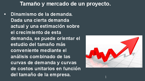 34Tamano-y-mercado-de-un-proyecto..pdf