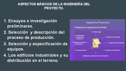 31ASPECTOS-BASICOS-DE-LA-INGENIERIA-DEL-PROYECTO..pdf