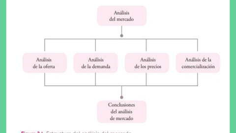 49-mapa-analisis-de-mercado.pdf