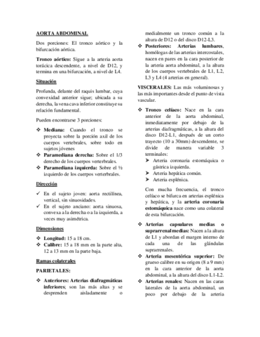 Aorta-abdominal.pdf