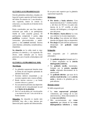 Glandulas-suprarrenales.pdf