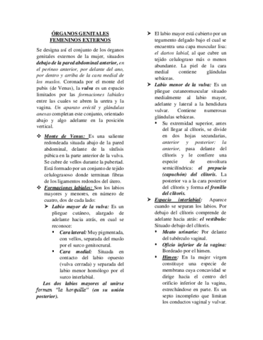 Organos-genitales-femeninos-externos.pdf