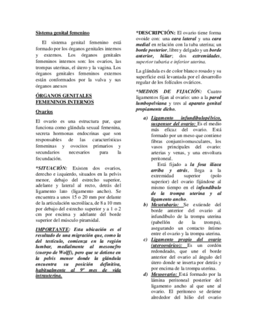 Sistema-genital-femenino.pdf