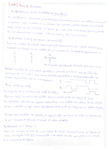 IGB8 - Biestables.pdf
