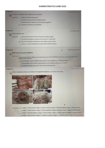 EXAMEN-PRACTICO-JUNIO-2023.pdf