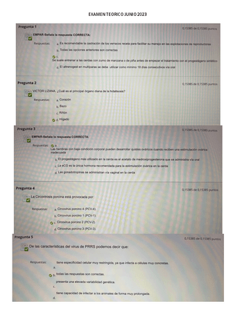 EXAMEN-TEORICO-SANIDAD-JUNIO-2023.pdf