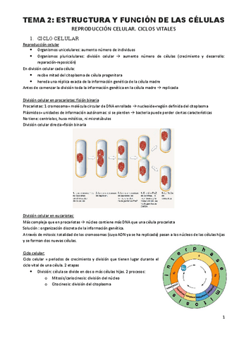 Tema-2.2-Estructura-y-funcion-de-las-celulas.pdf