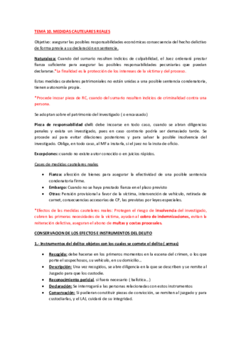 TEMA 10. MEDIDAS CAUTELARES REALES.pdf