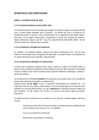 SISTEMA POLÍTIC I DRET CONSTITUCIONAL.pdf