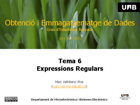 Tema-6-Expressions-Regulars.pdf