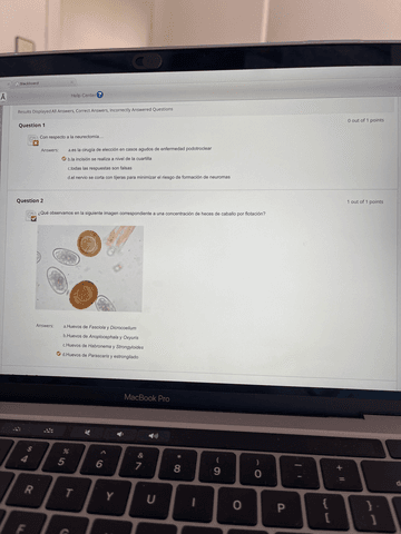 Examen PRACTICO Equino enero 2023.pdf