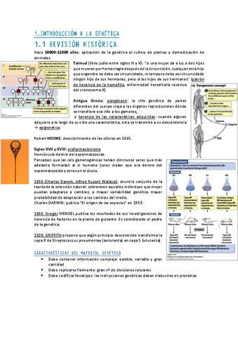 GENETICA-TODO.pdf