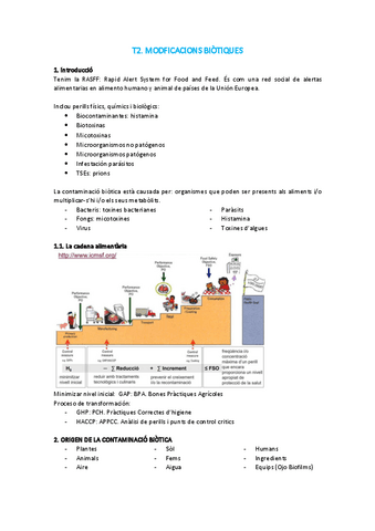 ita2.pdf