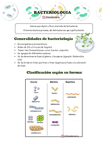 BACTERIOLOGIA.pdf