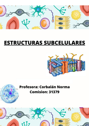 ESTRUCTURAS-SUBCELULARES-SER-ENFERMERXS.pdf