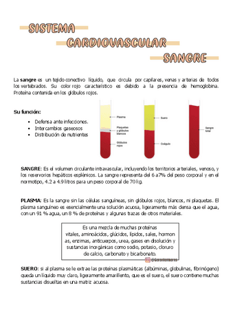 SANGRE-bio-2.pdf