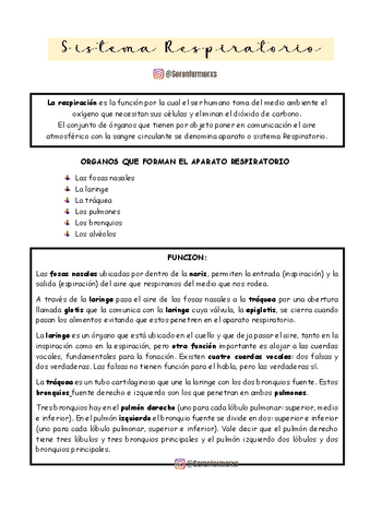 SISTEMA-RESPIRATORIO-BIO-2.pdf