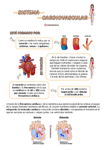 SISTEMA-CARDIOVASCULAR.pdf