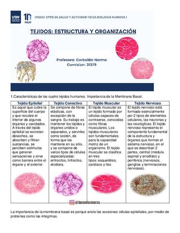 TEJIDOS-BIOLOGIA.pdf