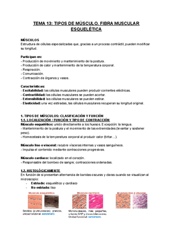FISIOLOGIA-T13.pdf