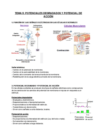 FISIOLOGIA-T5.pdf