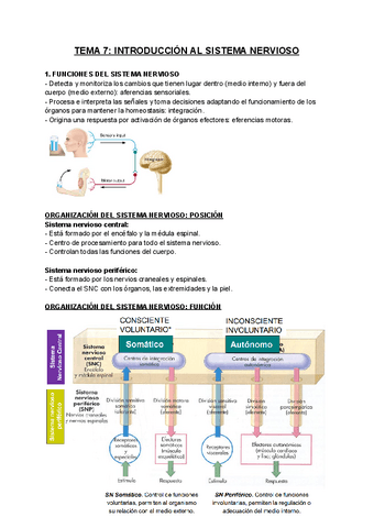 FISIOLOGIA-T7.pdf