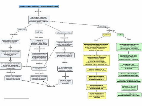 Eje-hipofisis-hipotalamo..pdf