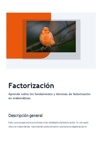 factorizacion.pdf