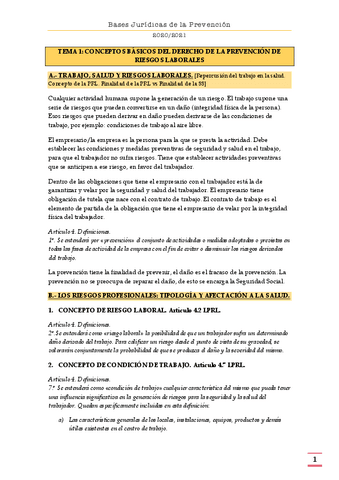 TEMA-1.-CONCEPTOS-BASICOS.pdf