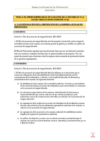 TEMA-5-EL-DEBER-EMPRESARIAL-2.pdf