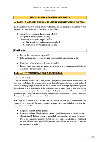 TEMA-7-LA-ORGANIZACION-PREVENTIVA.pdf