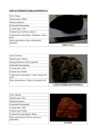 ROCAS SEDIMENTARIAS.pdf