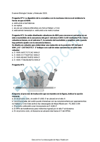 Examen-Biologia-Celular-y-Molecular-2020-sin-correcciones.pdf