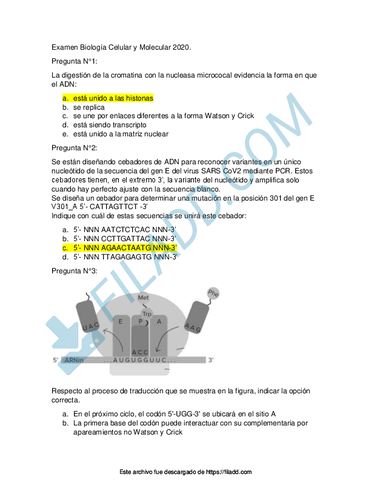 Examen-Biologia-Celular-y-Molecular.pdf