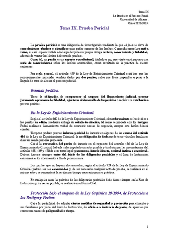 Tema-IX.pdf