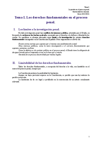 Tema-I.pdf