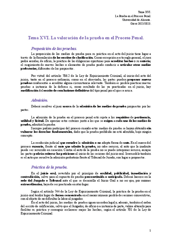 Tema-XVI..pdf