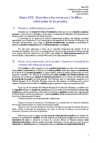 Tema-XIX.pdf
