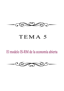 TEMA 5 MACRO.pdf
