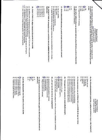 IMG0003.pdf