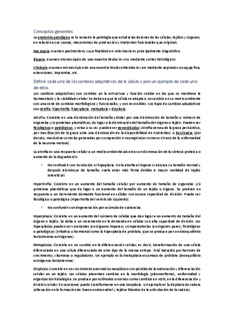 TODO-APG-Preguntas-resueltas.pdf
