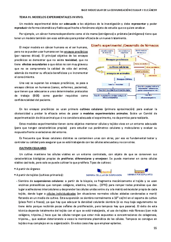 TEMA-11.-MODELOS-EXPERIMENTALES-IN-VIVO.pdf